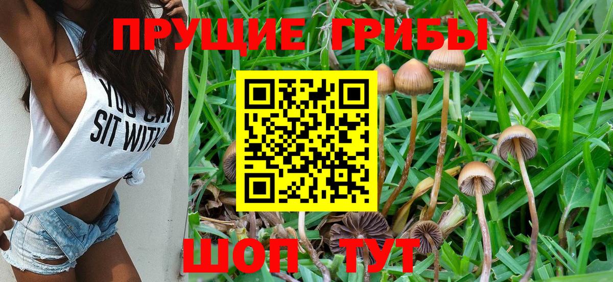 Галлюциногенные грибы MAGIC MUSHROOMS Дедовск
