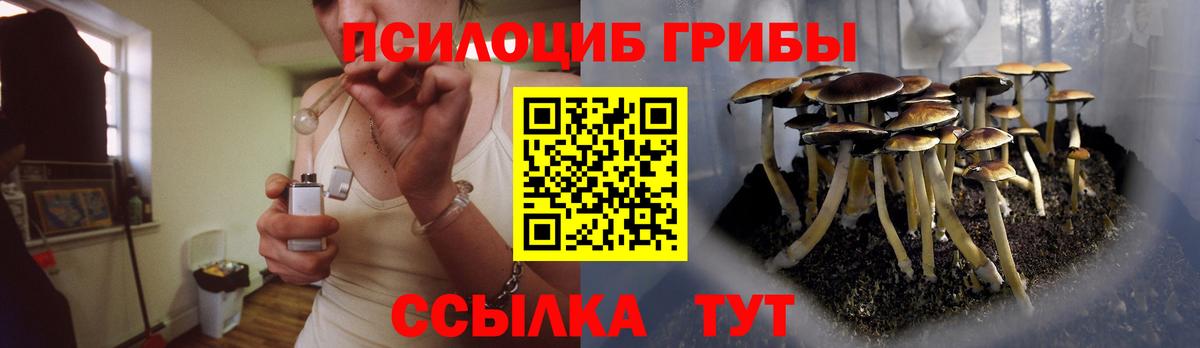 Псилоцибиновые грибы прущие грибы  Галлюциногенные грибы мицелий  Дедовск  как найти наркотики  Вход с VPN 